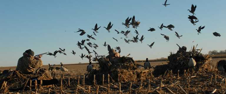 15 Great Places To Hunt Waterfowl